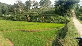 Mata Air, Tanah Darat, Sawah, 1,1 Ha, Bojong, PWK.