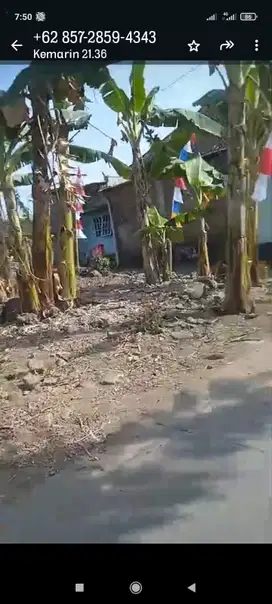 Dijual Tanah Pekarangan Ponggok  Klaten