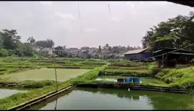 Dijual Tanah di Pengasinan, Gn. Sindur (Cocok untuk Usaha Ternak Ikan)