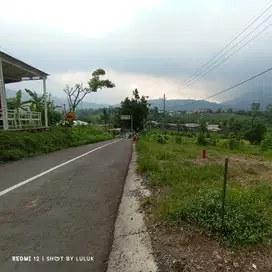 KAVLING NOL JALAN WISATA TRAWAS. SEKARJOHO ASRI