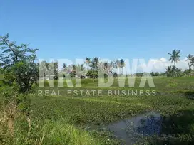 TERBATAS Dijual Tanah Luas 4,9 Ha di Tepi Pantai Sobo -Banyuwangi