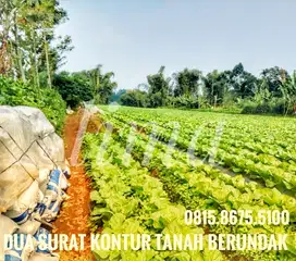 Dijual tanah kebun luas subur masuk mobil view bagus sejuk