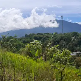 Tanah mewah cisarua puncak bogor