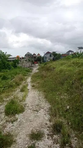 Tanah di Kontrakan/Sewa  jln. Gutiswa, Penatih , Denpasar Timur