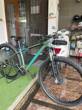 mtb specialized