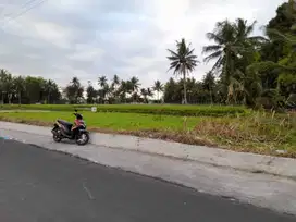 Dekat Candi Mendhut, Siap Bangun  Tanah Magelang Murah Borobudur