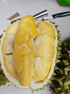 Durian Bawor fresh utuh