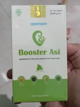 Booster asi buat ibu menyusui