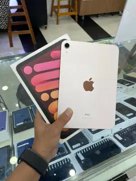 Ipad Mini 6 256gb Inter Wifi Only Pink