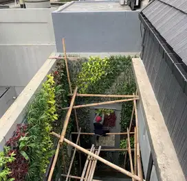 Taman Vertical Garden - Taman Dinding