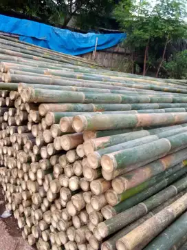 Jual bambu dan kayu