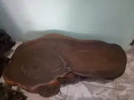 meja akar kayu kalimantan