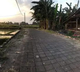 Tanah di kedungu hanya 20 menit ke canggu view sawah