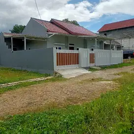 rumah kampung luas 1600 m2 cipocok kota serang deket kp3b