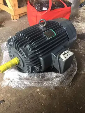 DINAMO TECO ELEKTRO MOTOR 20HP 15KW 4POLE RPM 1500