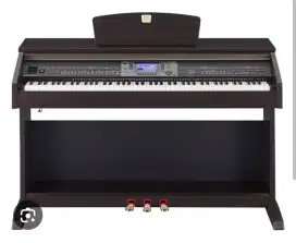 Yamaha Clavinova CVP 501