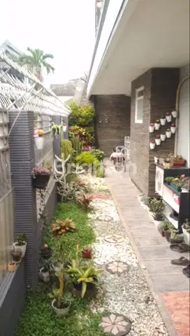 Rumah Luas Di Borobudur indah