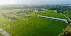 Tanah pantai kedungu tabanan