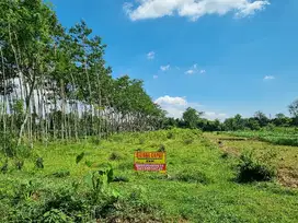 Dijual Tanah Murah Siap Kavling Lokasi Strategis Dekat Jalan Besar SHM