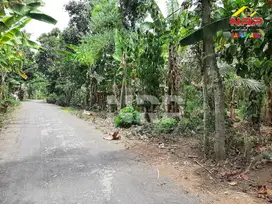 Dijual Tanah Kering Murah di Kalipuro - Banyuwangi