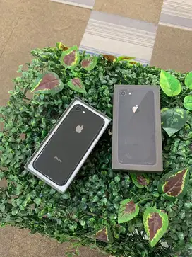 iPhone 8 64Gb All Provider Fullset Aman Mulus