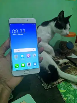 Oppo F1 plus ram 4/64 hp aja.