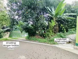 TANAH KEBUN NUANSA VILLA PINGGIR EMPANG DI PARUNG Rp 1,2 / m