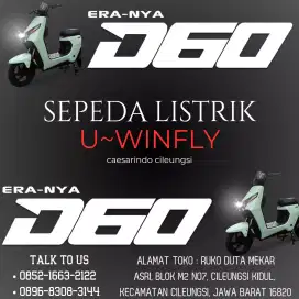 Sepeda listrik D60 new