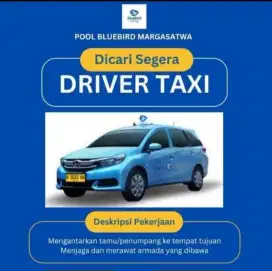 Driver Profesional