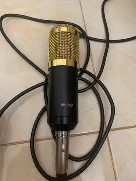 Microphone BM 800