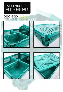 Days Old Chicken Doc Box Keranjang Anak Ayam Sekat 4