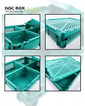 Days Old Chicken Doc Box Keranjang Anak Ayam Sekat 4