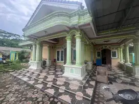 Rumah dan Balong