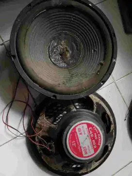 JUAL SPEAKER WOOFER KONDISI RUSAK MEREK CAN-NON PRO, DIAMETER '12 IN