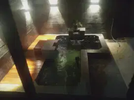 Jasa kolam koi bergaransi