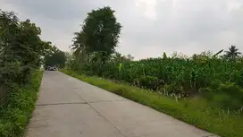 Tanah Industri Di Boyolali, Dekat Salatiga Dan Semarang. .