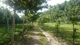 Tanah view bagus dekat pantai pacitan