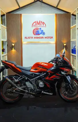 NINJA RR. SE TH 2015 CASH ONLY