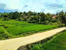 Jual Lahan Sawah Suasana Masih Asri Pedesaan