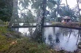 Tanah dan Sawah Serta Kolam Ikan Dekat Pemandian Cirahab Serang