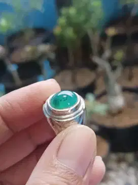 Bacan doko majiko totol