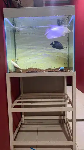 Aquarium Full Set