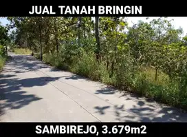 DIJUAL TANAH 3.679 M2 SAMBIREJO, BRINGIN,KAB. SEMARANG