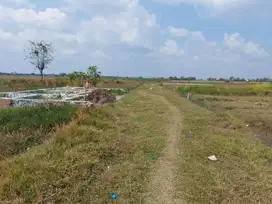 Tanah Kavling Dijual Luas 91 M2 - Tambelang - SHM