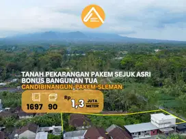 Jual Tanah Pekarangan Pakem Candibinangun View Indah Bonus Rumah Lawas