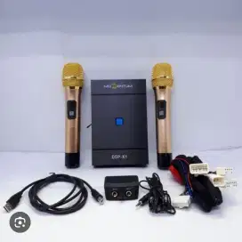 Momentum DSP K1 karaoke