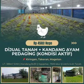 DİJUAL USAHA PETERNAKAN, TANAH & KANDANG AYAM AJTİF