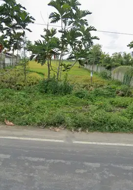 Tanah murah pinggir jalan raya utama Batunyale Praya lombok