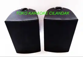 new speaker pasif karaoke bagus ukuran 6,5