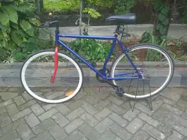 Sepeda Fixie/Fixed Gear